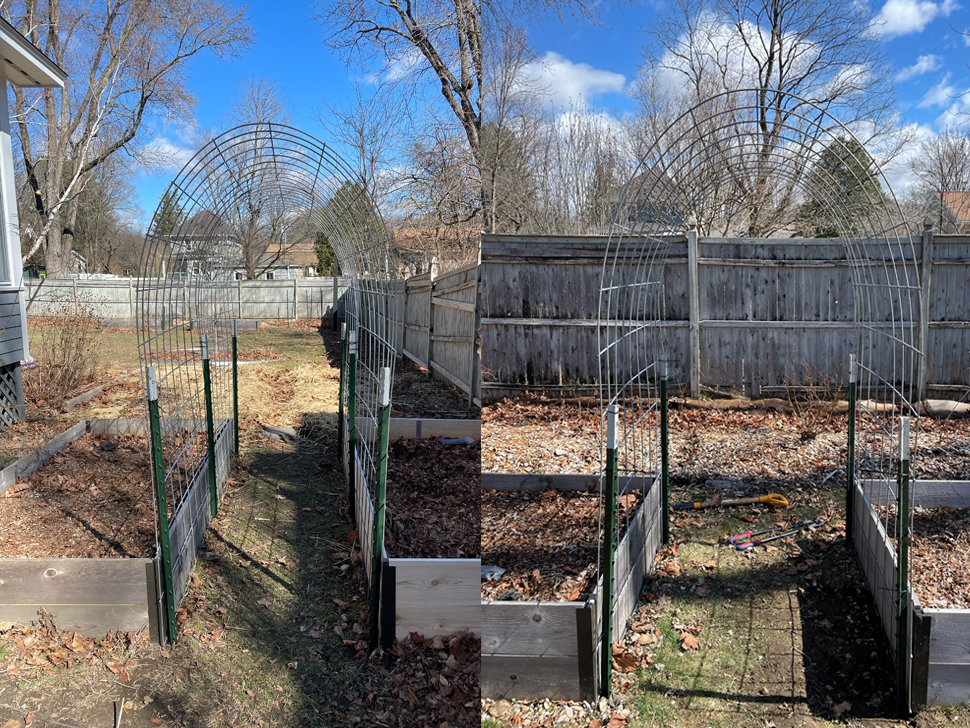 Cattle panel trellises