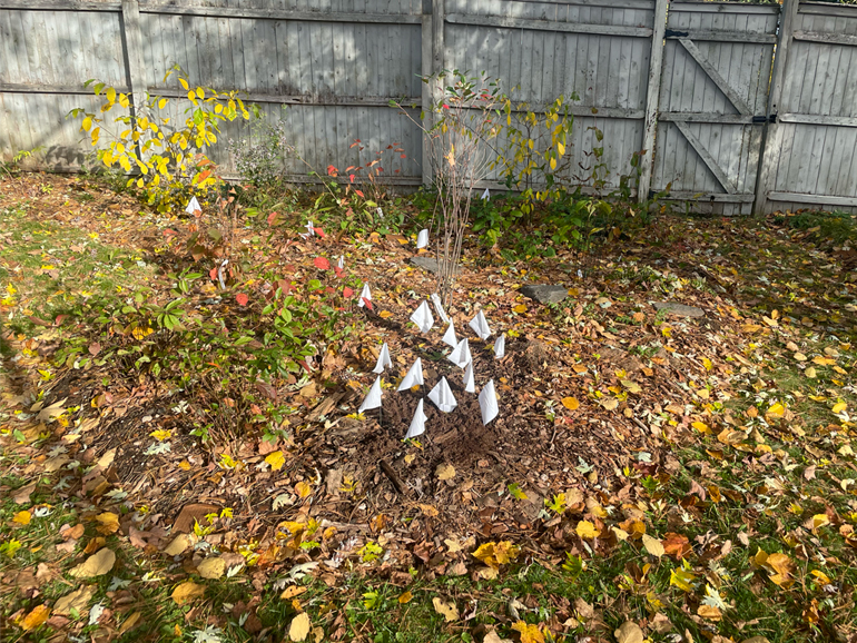 New cedar planters on deck