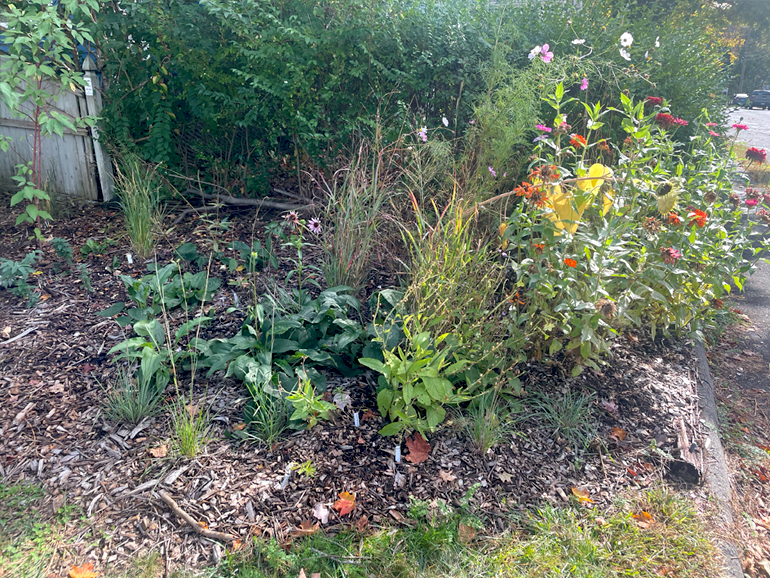Front side border in October 2025.