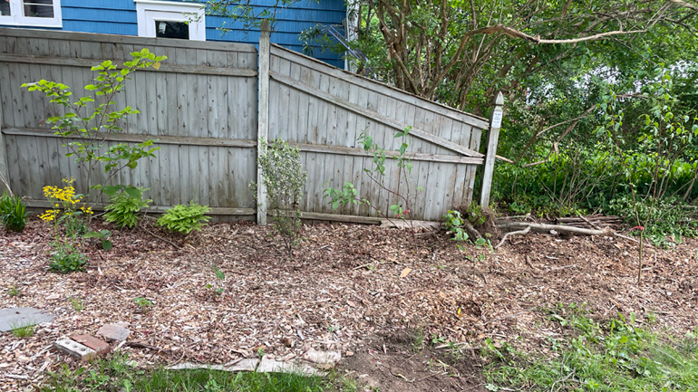 Front side border from another angle.