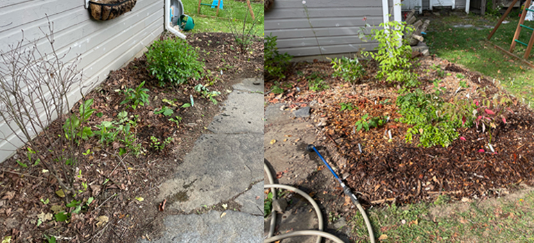 Garage bed in May and September.