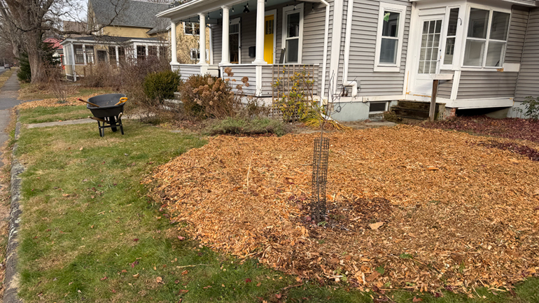 Wood chips to make new gardens