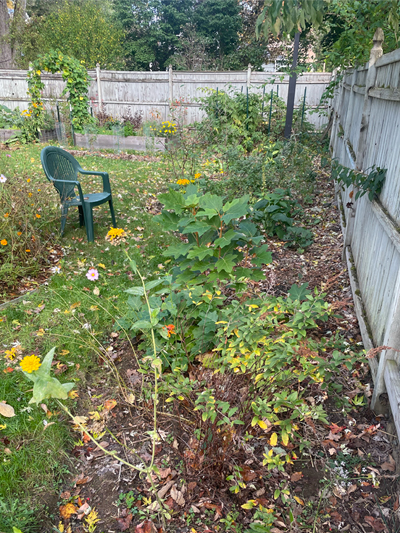 Side border in October 2025.