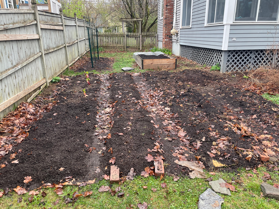 Planting strawberries and rhubarb.