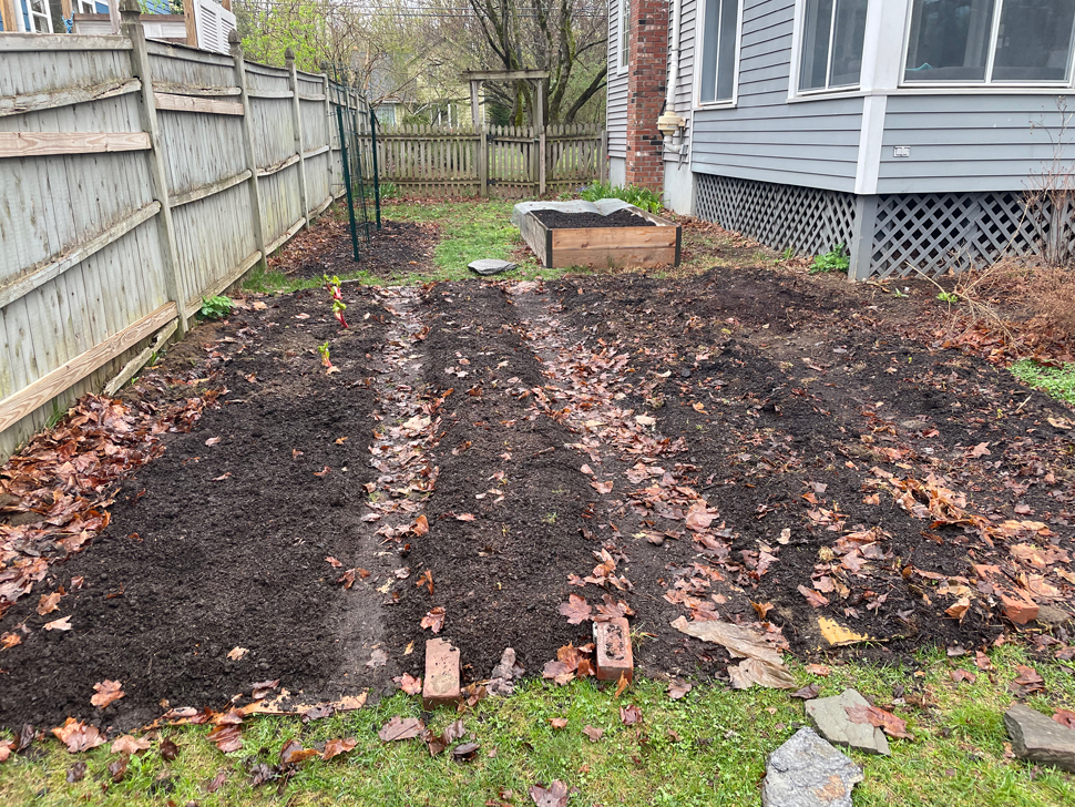 Planting strawberries and rhubarb.