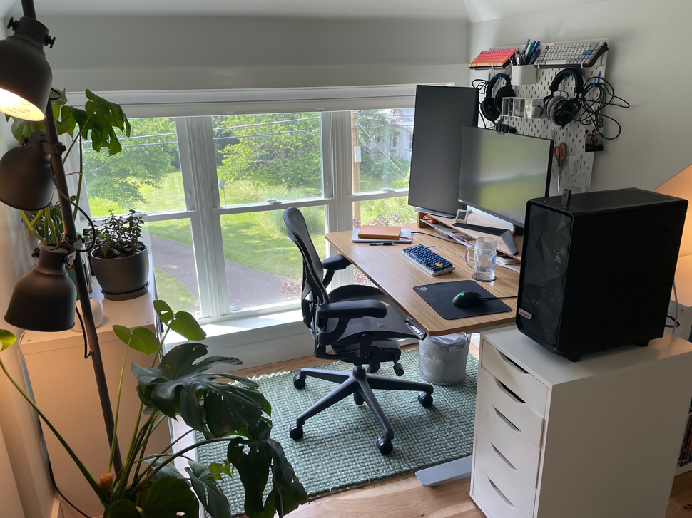My attic office, and plants