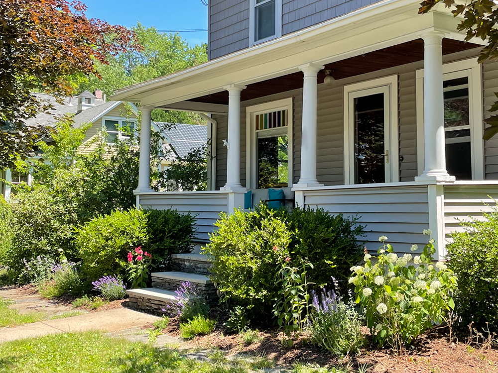 The front bed in mid summer: hydrangea, bee balm, sage, and lavender blooming