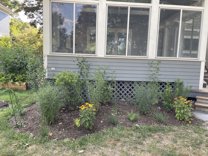 The sunporch bed in July 2022.