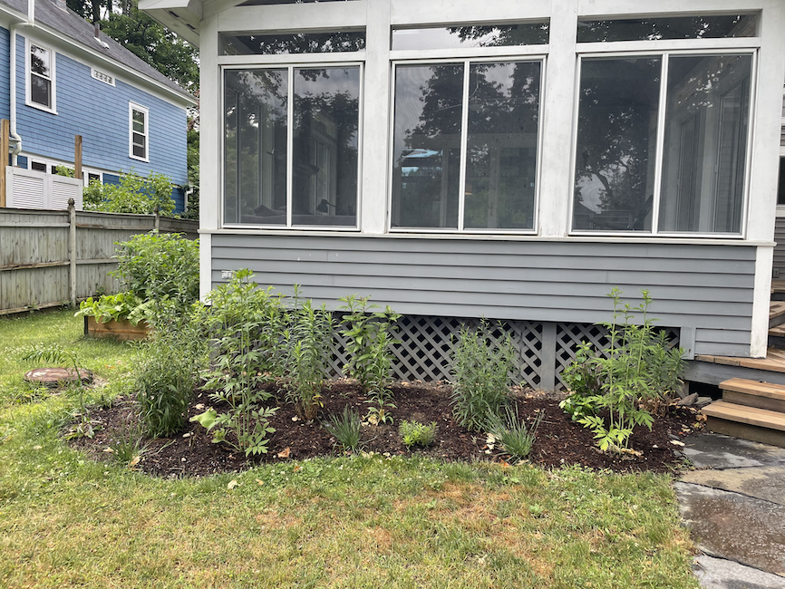 The sunporch bed in June 2022.