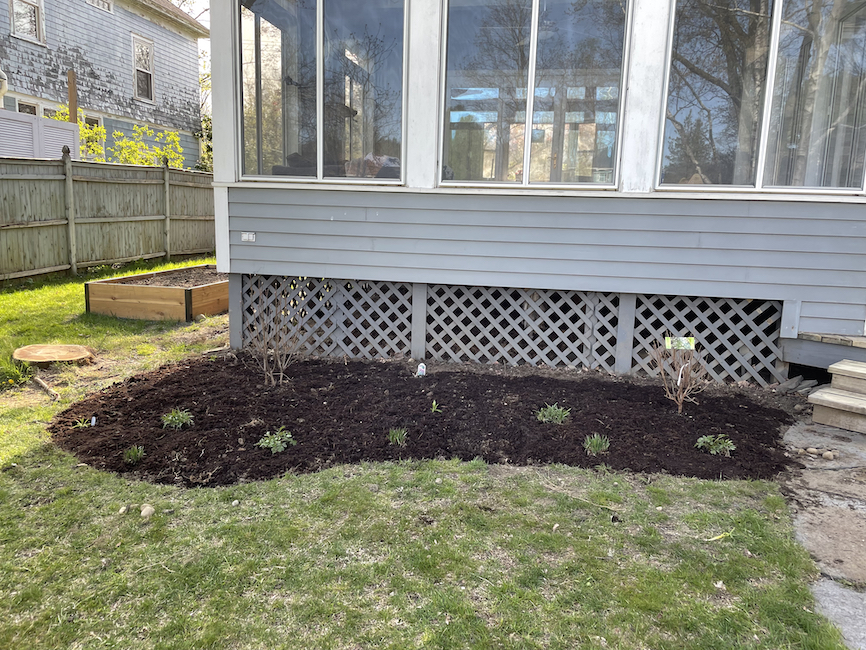 The sunporch bed in May 2022.