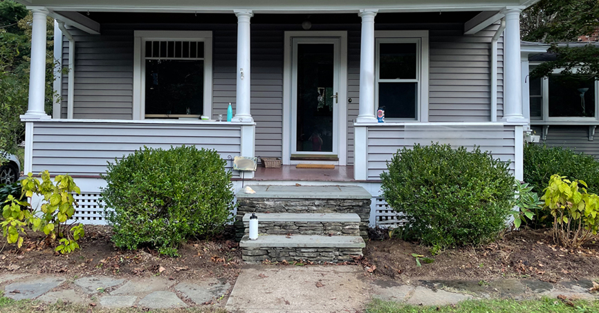 How the front yard looked after removing invasive Japanese barberries and replacing some boxwoods with hydrangeas.