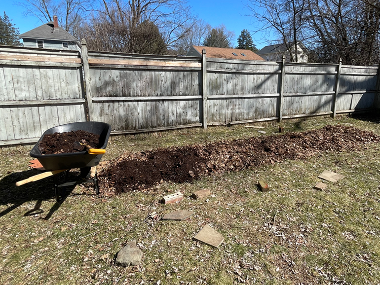 Laying down leaves and leaf mould.