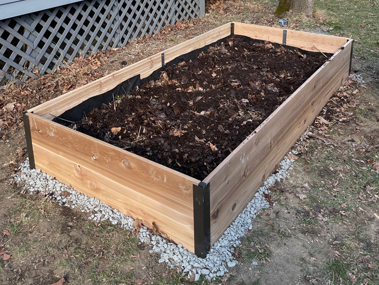 The raised bed, mostly filled with leaf mould.