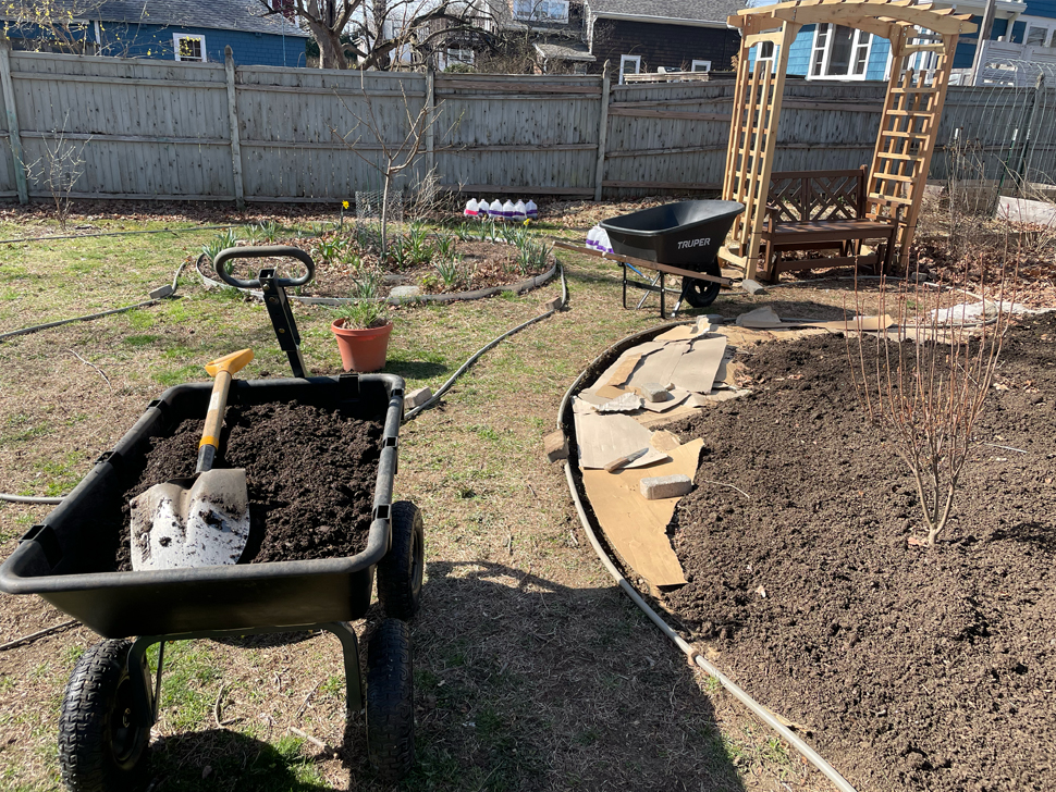 April 2025: the trellis is up, and I'm defining the edges of the beds with garden hose and beginning to layer compost on top. Also, the swamp azalea is in the ground here!